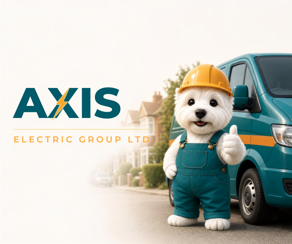 Axis Electric Group Ltd logo